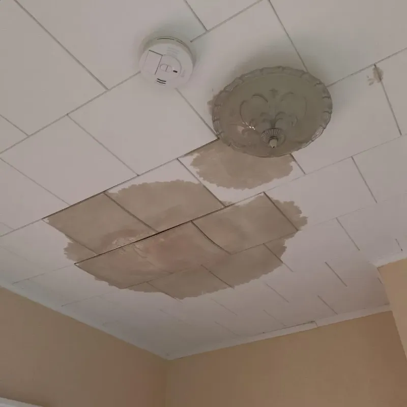 Ceiling Water Damage Repair in Dodge Center, MN
